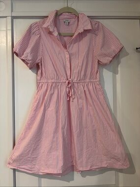 J. Crew Pink and White Stripe Tie-Waist Women’s Dress